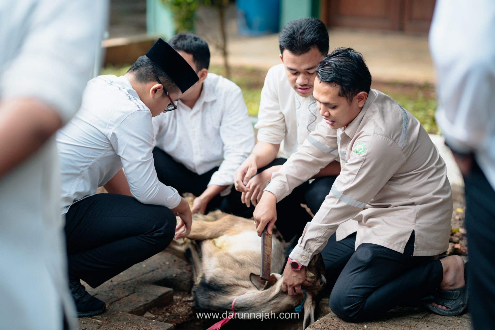 Belajar Fiqh Qurban, Santri Kelas 6 Antusias Ikuti Penyuluhan